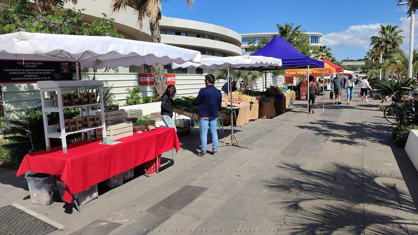 Capd'Agde - Rambla du soleil - 14 Mai 2023 - 11.jpg